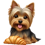 Yorkshire terrier with croissant  sticker