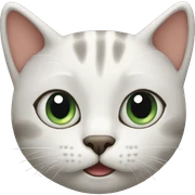 Cat sticker