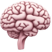 Brain stem body part sticker