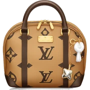 Louis Vuitton cosmetic bag  sticker