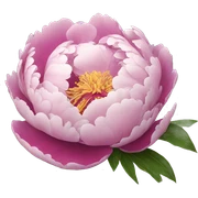 Peony sticker