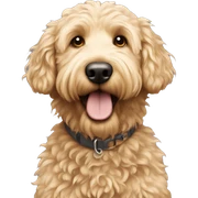 Golden doodle  sticker