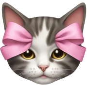 cat sleeping with pink bows on sticker