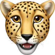 Cheetah with teeth out sticker