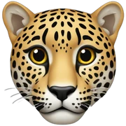 Jaguar sticker