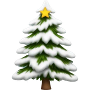  actual white fir christmas tree isolated.  sticker
