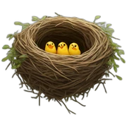 Nest sticker