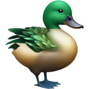 Chinese duck sticker