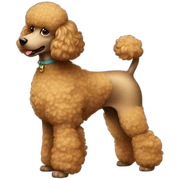 Dog Standart Poodle full body sticker