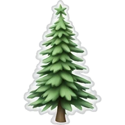  actual white fir christmas tree isolated.  sticker