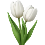 White cute tulips  sticker
