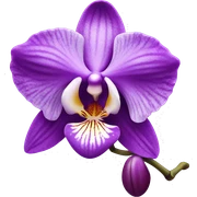 orchid  sticker