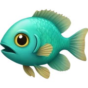 Turquoise fish sticker