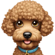 Toy poodle sticker