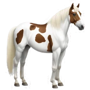 Paint horse sticker