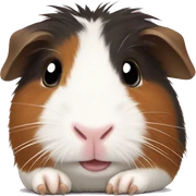 Guinea pig sticker