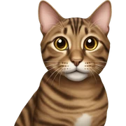 brown tabby cat sticker