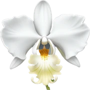 White orchid  sticker