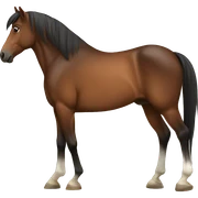 Horse  sticker