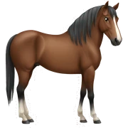 Horse  sticker