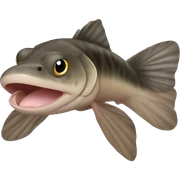 Khuli loach sticker
