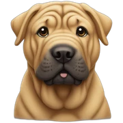 Shar Pei sticker