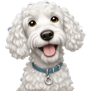 Curly haired white doodle dog sticker