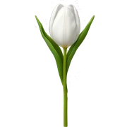 White tulip sticker