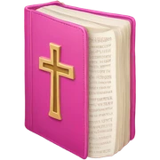Pink bible sticker