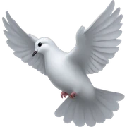 Dove  sticker