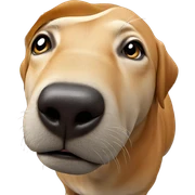 realistic animal in focus sticker