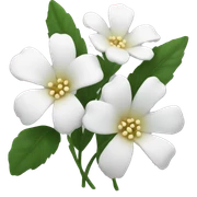 white flowers sticker