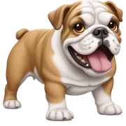english bulldog sticker