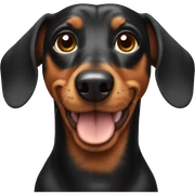 Dachshund  sticker