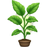 Plant sticker