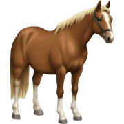 a sorrel quarter horse with a white blaze sticker