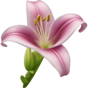 lily flower sticker