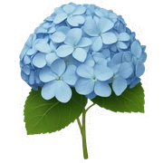 Hydrangeas  sticker