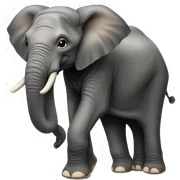 African elephants sticker