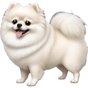 Fat white Pomeranian sticker