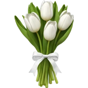 white tulip bouquet  sticker