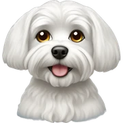 Maltese Lapdog sticker