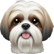 Shih tzu  sticker