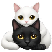 black cat and white cat cuddling  sticker