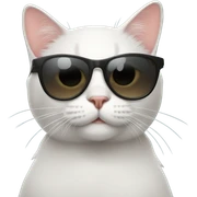 Cat with sunglasses sticker