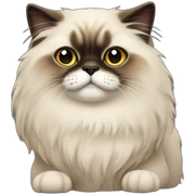himalayan cat sticker