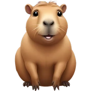 Cute capybara sticker