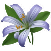African lily  sticker