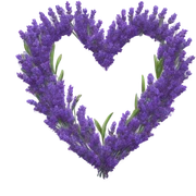 lavender heart sticker