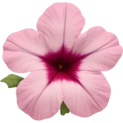red petunia hybrid sticker